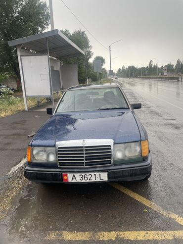 Mercedes-Benz: Mercedes-Benz W124: 1991 г., 2.5 л, Механика, Дизель, Седан