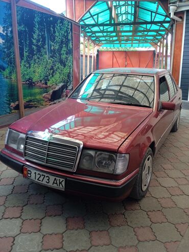 Mercedes-Benz: Mercedes-Benz 220: 1993 г., 2.2 л, Механика, Бензин, Седан