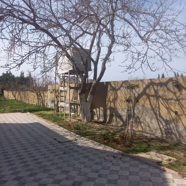 Bağ evlərinin satışı: Bakı, Pirşağı qəs., 456 kv. m, 6 otaqlı, Hovuzsuz, Qaz, İşıq, Kanalizasiya -da lalafo.az — 26 Bağ evlərinin satışı: Bakı, Pirşağı qəs., 456 kv. m, 6 otaqlı, Hovuzsuz, Qaz, İşıq, Kanalizasiya — 26