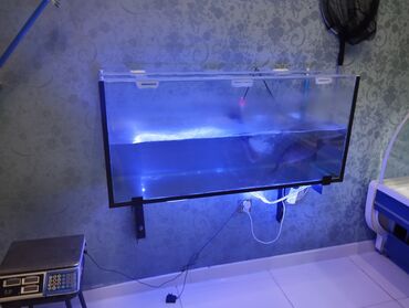 akvarium xırda balığı: Akvarium 1.20 sm uzunluğunda yaxşı vəziyyətdədir 100 AZN
