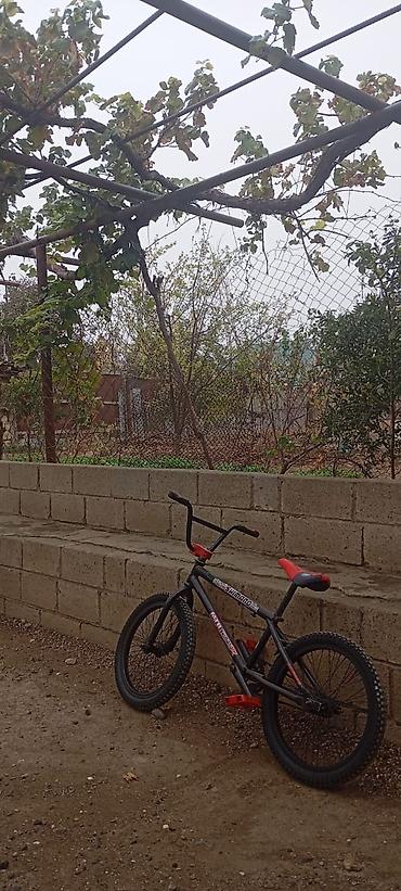 qalin teker velosiped: BMX tərzli uşaq/yeniyetmə velosipedi (Orginla BMX velosiped . Yenidən — 3