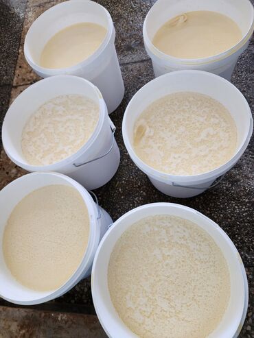 Молочные продукты и яйца: Продаётся натуральные сливки, каймак, оптом, 38%, 50%, от 200