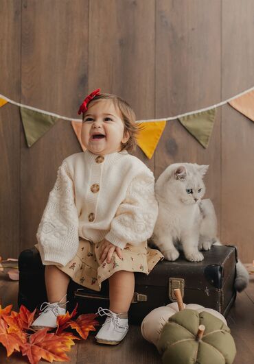 Pişiklər: Britan, Erkək, Cütləşmə üçün -da lalafo.az — 9 Pişiklər: Britan, Erkək, Cütləşmə üçün — 9