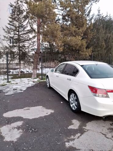 Honda: Honda Accord: 2009 г., 3.5 л, Автомат, Бензин, Седан