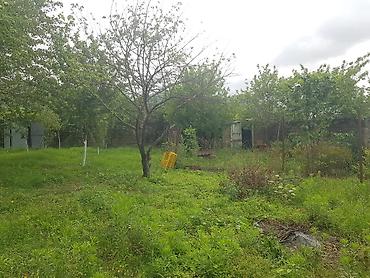 naxcivan satilan heyet evleri: 6 sot, Tikinti, Mülkiyyətçi, Kupça (Çıxarış) — 3