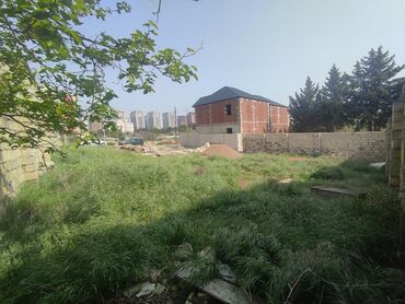Torpaq: 6 sot, Tikinti, Mülkiyyətçi, Kupça (Çıxarış)