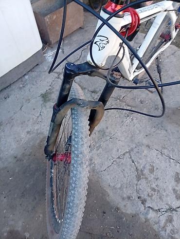 чатыр жайлоого: Горный велосипед Charger R/T - Рама алюминий 6061, хардтейл - Колеса — 5