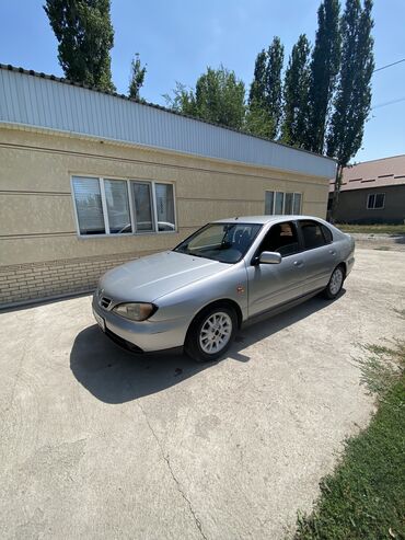 nissan primera бишкек: Nissan Primera: 2001 г., 2 л, Автомат, Бензин, Хетчбек