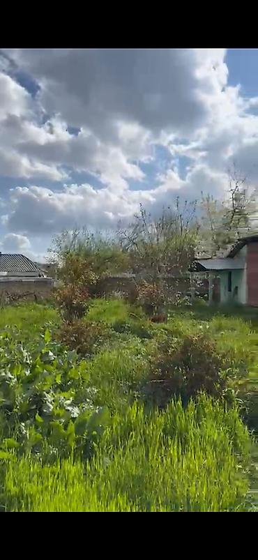 Torpaq sahələrinin satışı: 10 sot, Mülkiyyətçi, Kupça (Çıxarış) — 11