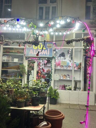 Другие растения: Hazır biznes, şəkildə gördüklərinizin hamısı qalacaq Gül Aləmi – gül