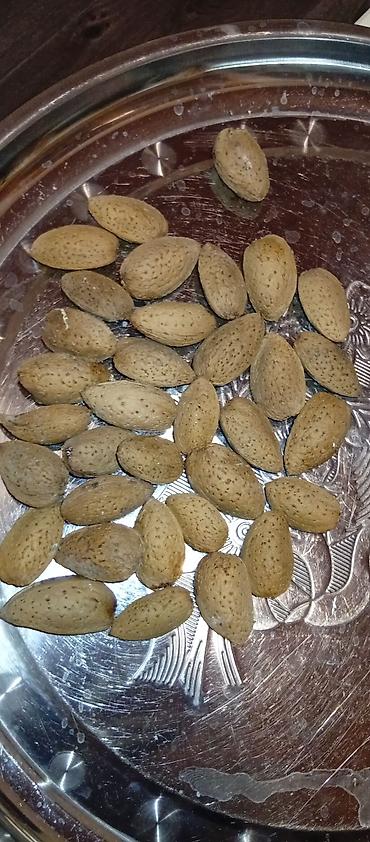 quru: Məhsul: Qabıqda badam (bütöv) Təsvir: - Təbii, sərt qabıqlı badamlar — 1