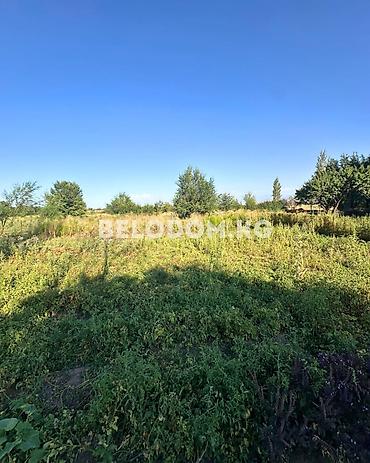 петровке: 🏠Продается дом в с. Петровка Верхняя зона, от трассы - 4км 🟡Кирпичный — 3