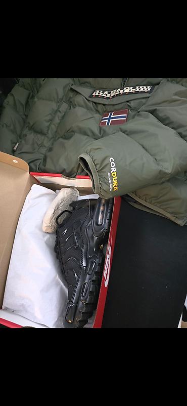 nike air max pulse cena: Napapijri muška jakna – Rainforest OP WI Puf, boja Green Depths (šifra — 8