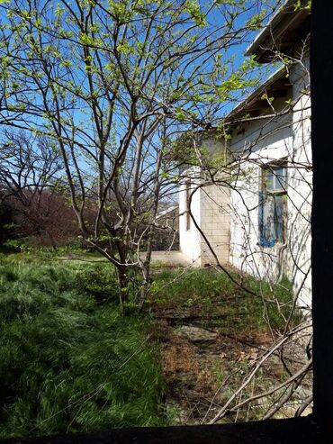 Həyət evləri və villaların satışı: Digah 4 otaqlı, 320 kv. m, Təmirsiz — 11