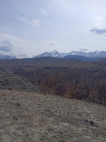 Продажа участков: 787 соток, Для сельского хозяйства, Красная книга, Договор купли-продажи — 4