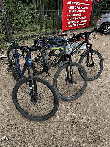 мото ролик: Городской велосипед, Skillmax, Рама L (172 - 185 см), Б/у — 1