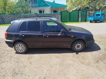 Volkswagen: Volkswagen Golf: 1995 г., 1.8 л, Механика, Бензин, Хэтчбэк