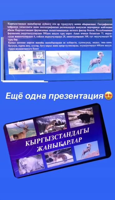 Репетиторы школьной программы: Помощь в написании разного рода работ: рефератов, курсовых работ, СРС — 2