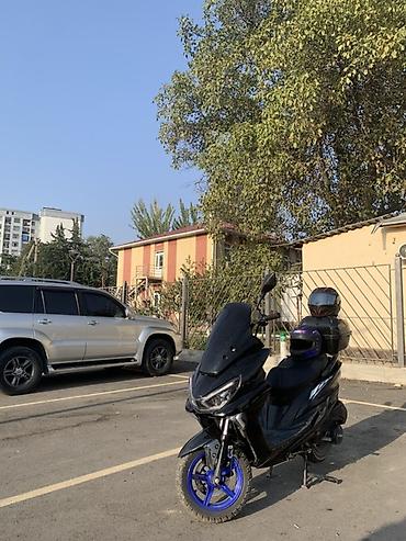 Унаа: Скутер макси сена 50 без влажения прабек 5038 Описание: - Современный — 2