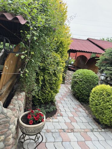 Продажа домов: Дом, 248 м², 15 комнат, Собственник — 25