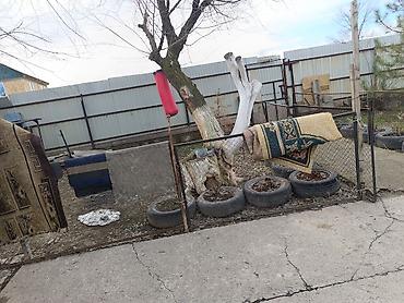 Продажа коттеджей и домов: Дом!!! продаю срочно дом, есть хоз постройки 2 сарая для скота — 3