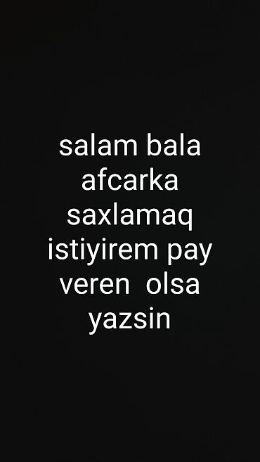 vəkil xidməti: Xidmət: Bala afçarka (Alman çoban iti) saxlanması üzrə könüllü öhdəlik — 1