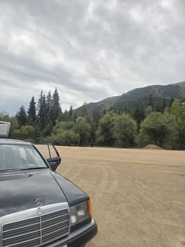 Mercedes-Benz: Mercedes-Benz W124: 1989 г., 2.3 л, Механика, Бензин, Универсал — 4