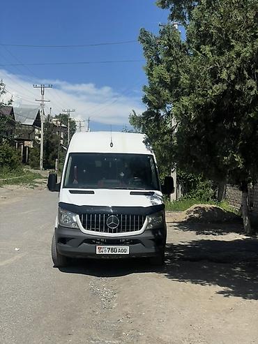1gr fe: Пункт назначения: Все направления, Количество мест: 20, Лицензия №: ппэ451897-048/25 — 1