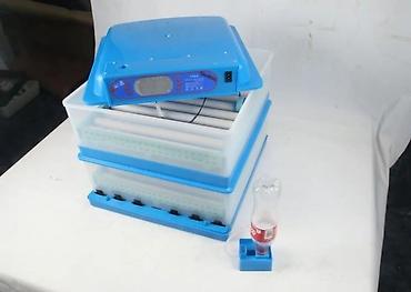 gencede inkubator satisi: Çin, Fabrik istehsalı, Tam avtomat, Bütün növ quşlar üçün — 5