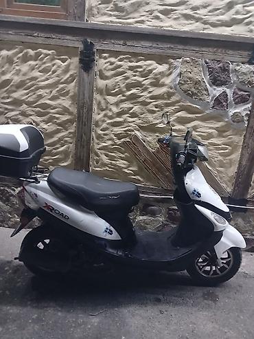 xiaomi scooter 5 lite: - XROAD, 2024 il, 3515 km — 3