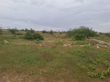 şəmkirdə torpaq satılır: 24 sot, Tikinti, Makler, Kupça (Çıxarış)