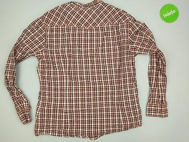 pingwin: H&M Divided, Koszulа dla mężczyzn, rozmiar 2XL — 3