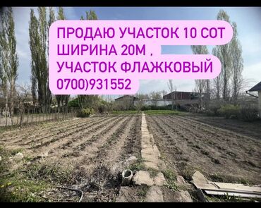 участок новопокровка: 10 соток, Для бизнеса, Красная книга, Тех паспорт, Договор купли-продажи
