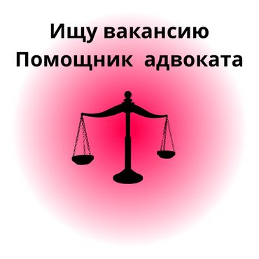 услуги адвоката бишкек цена: Юридические услуги | Гражданское право, Семейное право, Трудовое право
