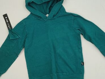 koszulka wilk i zając: Sweatshirt, 5-6 years, 110-116 cm, condition - Very good