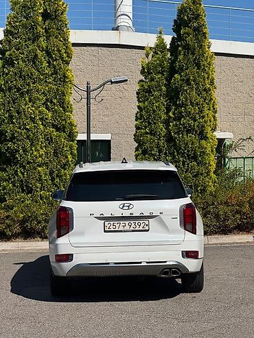 v klass: Hyundai Palisade: 2020 г., 2.2 л, Автомат, Дизель, Кроссовер — 5