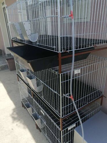Domaće životinje: Prodaja pocinkovanih kaveza za koke, pilice i zeceve u kompletu sa — 8