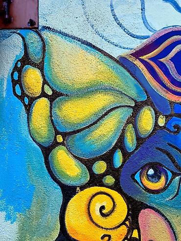 Другие услуги: Предоставляю услуги росписи стен и декора. Пишите в личные сообщения — 19