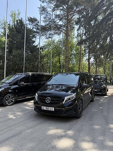 Другие автоуслуги: Прокат авто Аренда авто Трансферы из Аэропорта Кортеж Поездки по — 2