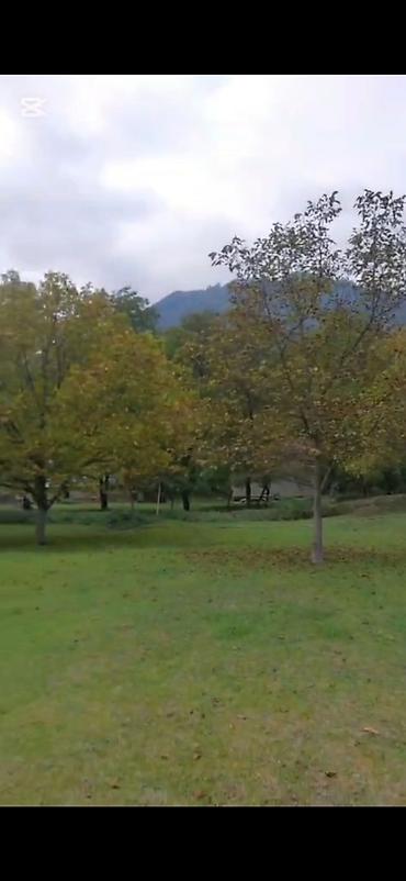 Torpaq sahələrinin satışı: Tikinti — 7