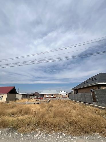 Жер тилкелери: 4 соток, Кызыл китеп — 2