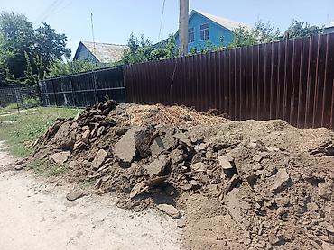 подар: Тезек кык бар кимге керек ЖАЗГЫЛА — 4