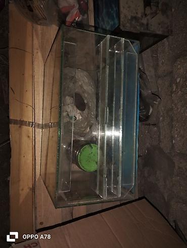 akvarium aksesuarlari: 2si 10litr 1,20 litr deməy olar işlənmiyib qalıb evdə balacalar10 — 5
