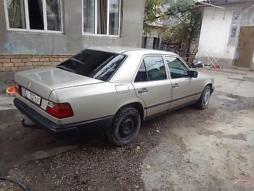 w211 e55: Mercedes-Benz W124: 1988 г., Седан — 4