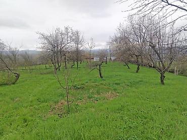 Torpaq sahələrinin satışı: Kənd təsərrüfatı — 2