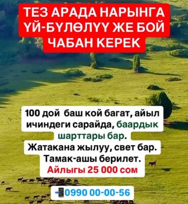 шаеи: ТЕЗ АРАДА НАРЫНГА ҮЙ-БҮЛӨЛҮҮ ЖЕ БОЙ ЧАБАН КЕРЕК 100 дой баш кой