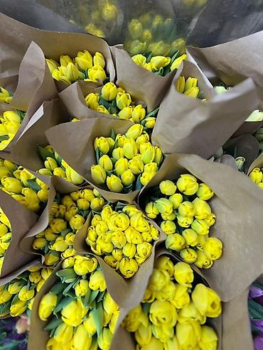 Букеты из живых цветов: Тюльпаны оптом только до 6марта ! Свежие хрустящие сортовые — 3