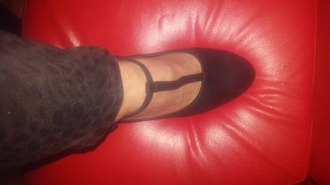 Salonke: Salonke, Graceland, 41 — 2