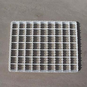 İnkubatorlar: Bütün növ quşlaq üçün — 8