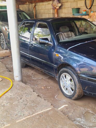 фольксваген фургон: Volkswagen Vento: 1992 г., 1.8 л, Бензин